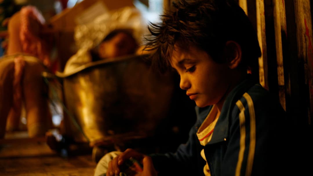 Capernaum - Stadt der Hoffnung backdrop 13