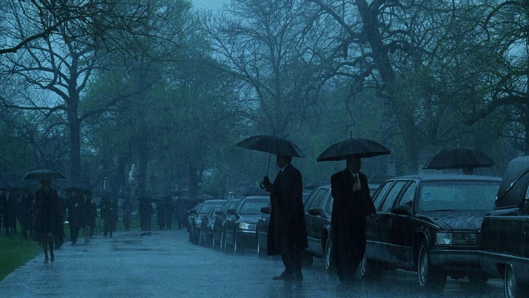 Синоптик backdrop 14