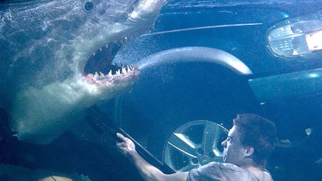 Цунамі backdrop 10