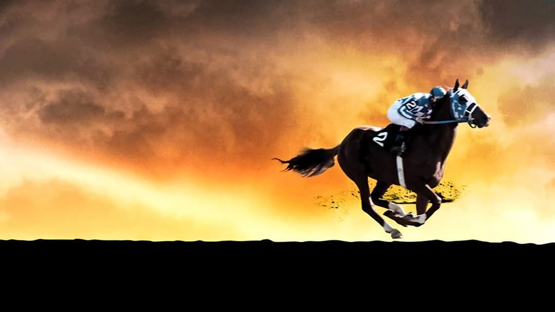 Чемпіон backdrop 6