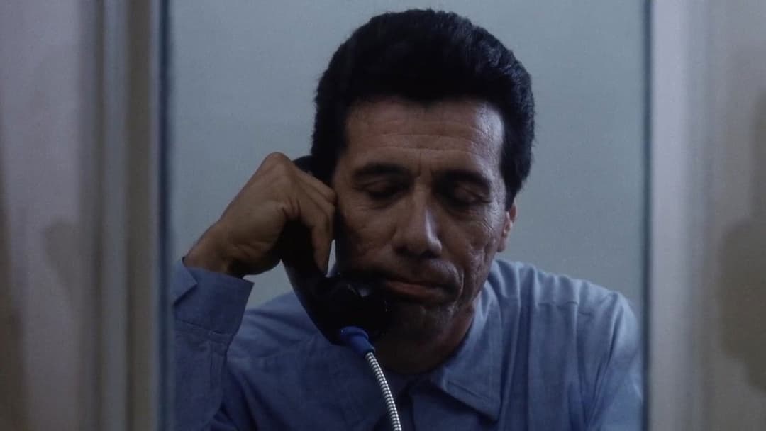 Das Gesetz der Gewalt backdrop 11