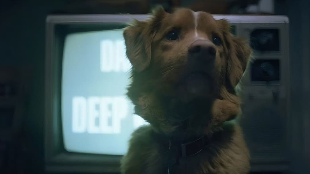 Good Boy - Trust His Instincts backdrop 2