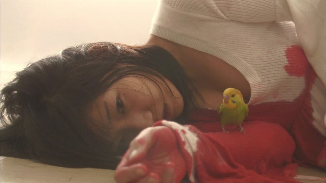 Одкровення любові backdrop 8