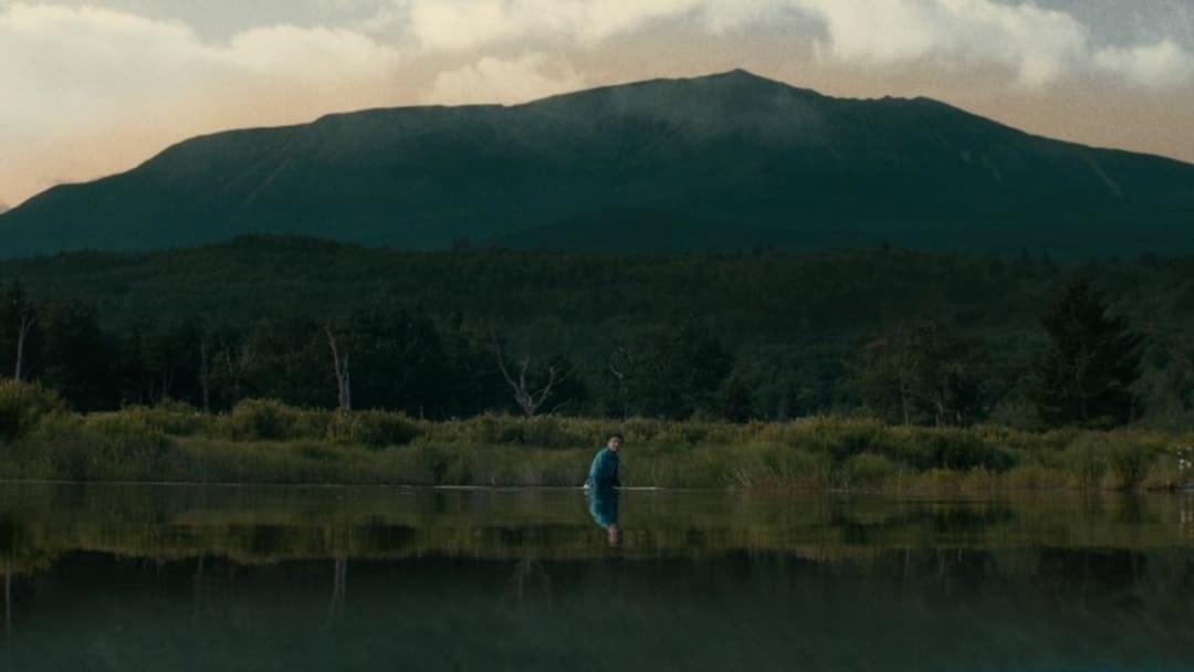 Verloren in der Wildnis backdrop 3