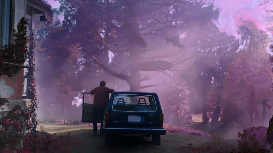 Барва з позамежжя світу backdrop 6