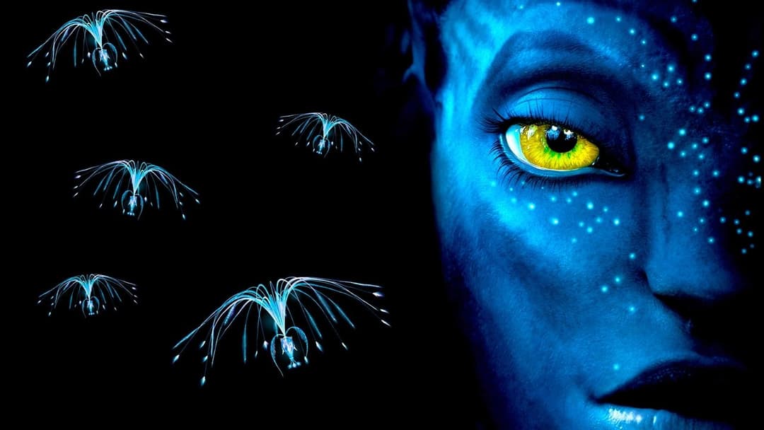 Avatar - Aufbruch nach Pandora backdrop 16