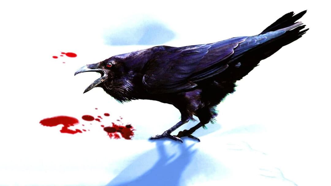 Простий план backdrop 5