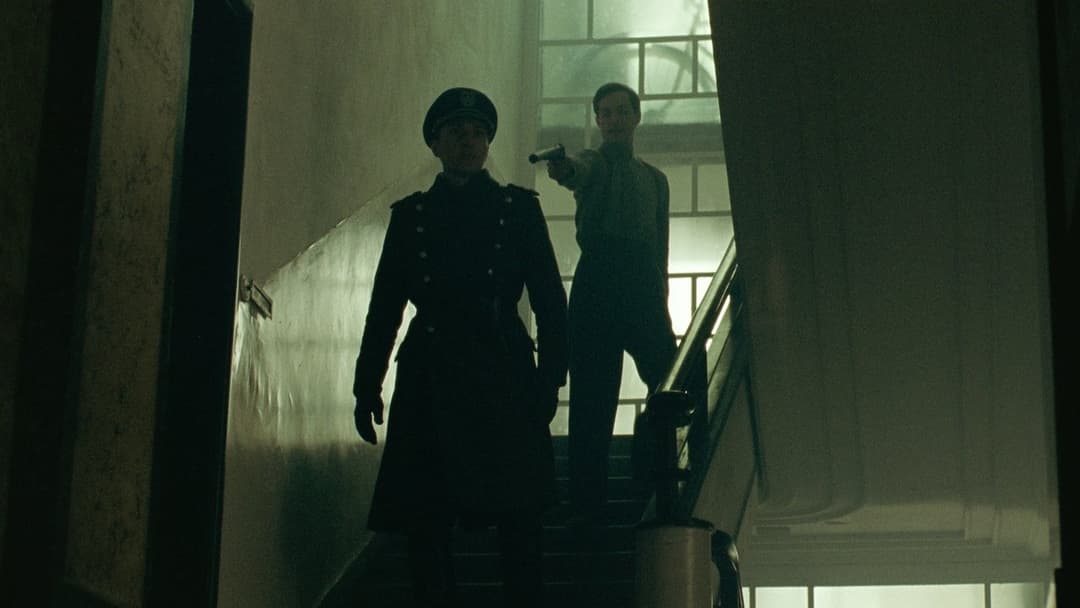 Номер 24 backdrop 2