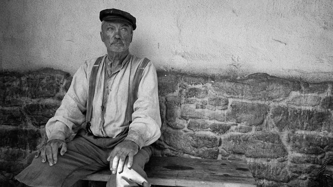 Пофарбоване пташеня backdrop 14