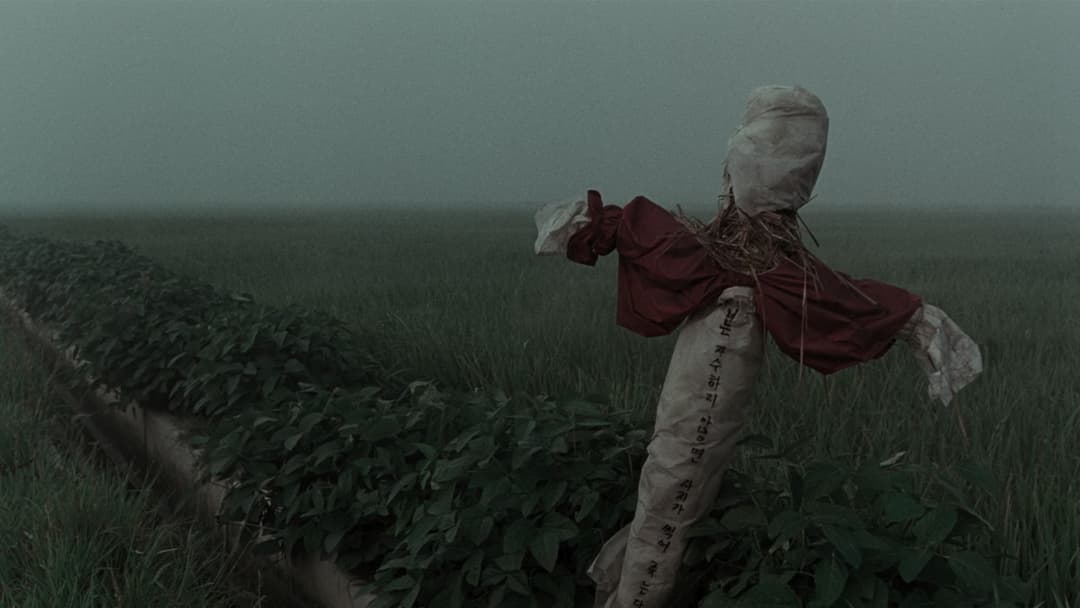 Memories of Murder backdrop 6