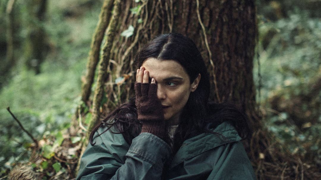 Лобстер backdrop 4