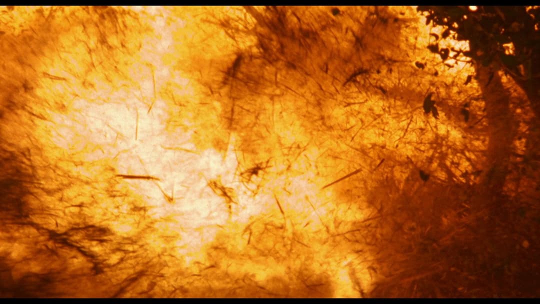 Jacob's Ladder - In der Gewalt des Jenseits backdrop 11