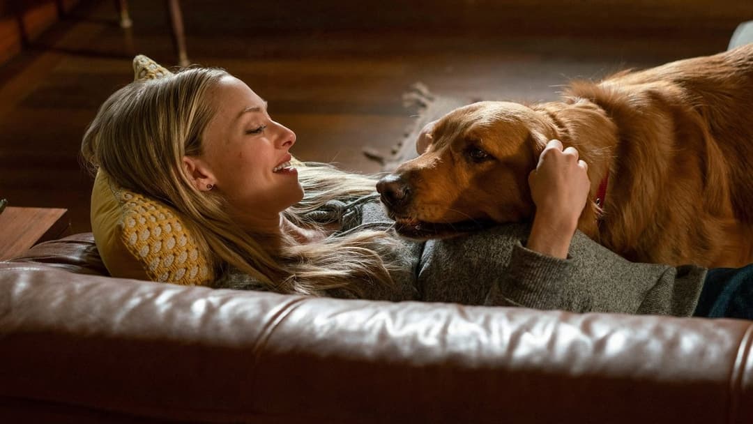 Enzo und die wundersame Welt der Menschen backdrop 9