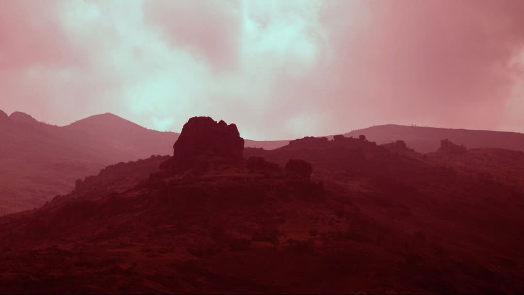 The Recce backdrop 3