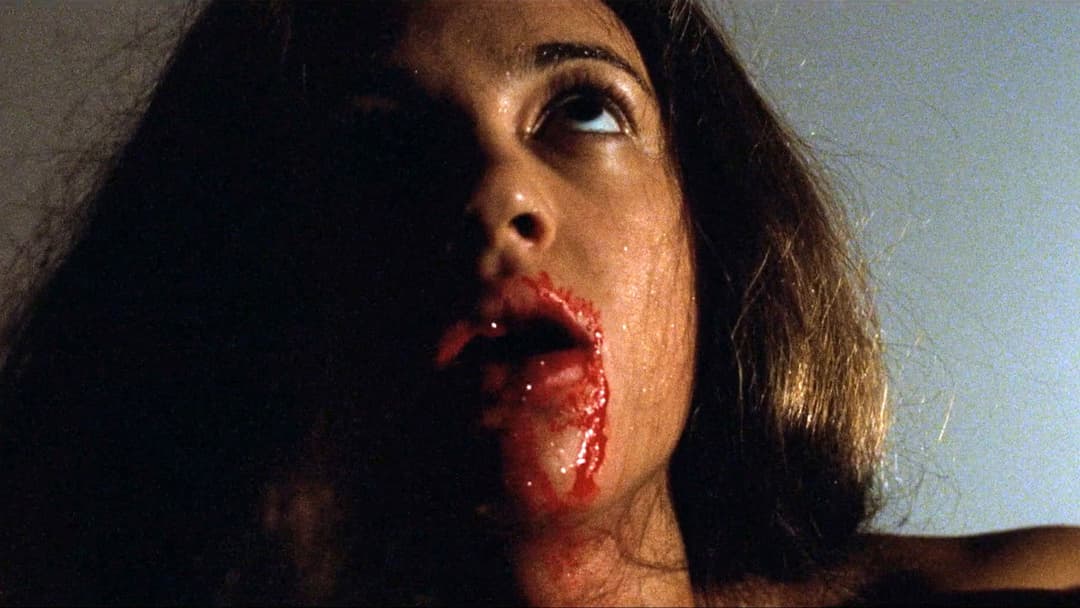 Das Stendhal Syndrom backdrop 1