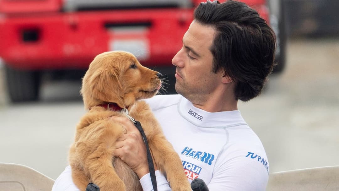 Enzo und die wundersame Welt der Menschen backdrop 13