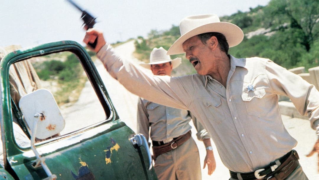 Lone Star backdrop 18