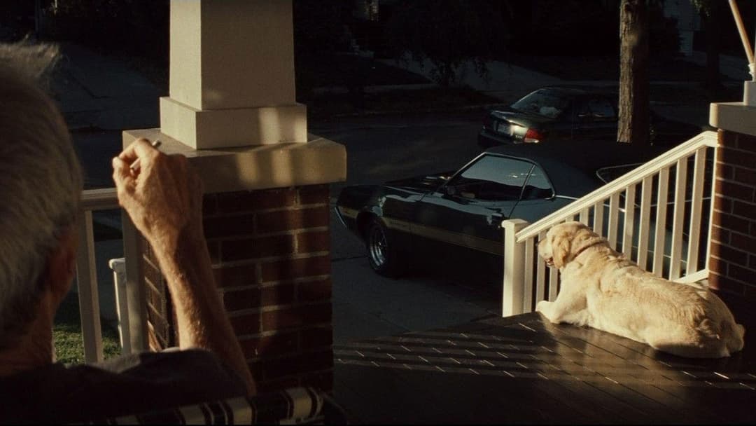 Ґран Торіно backdrop 16