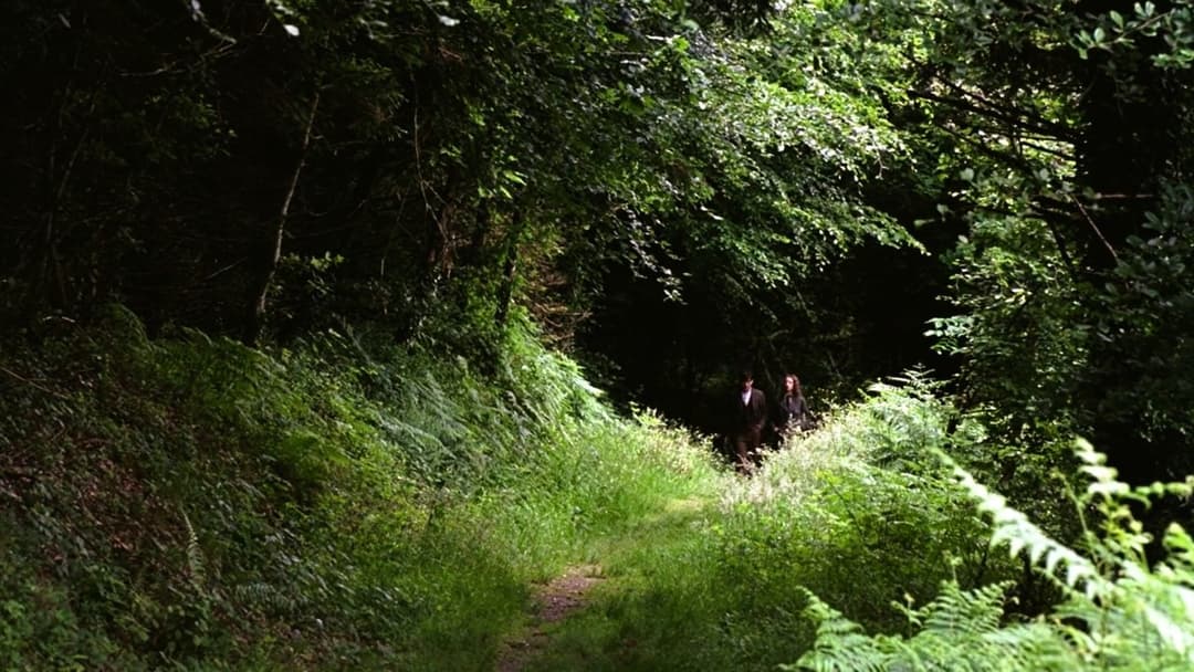 The Wind That Shakes the Barley backdrop 7