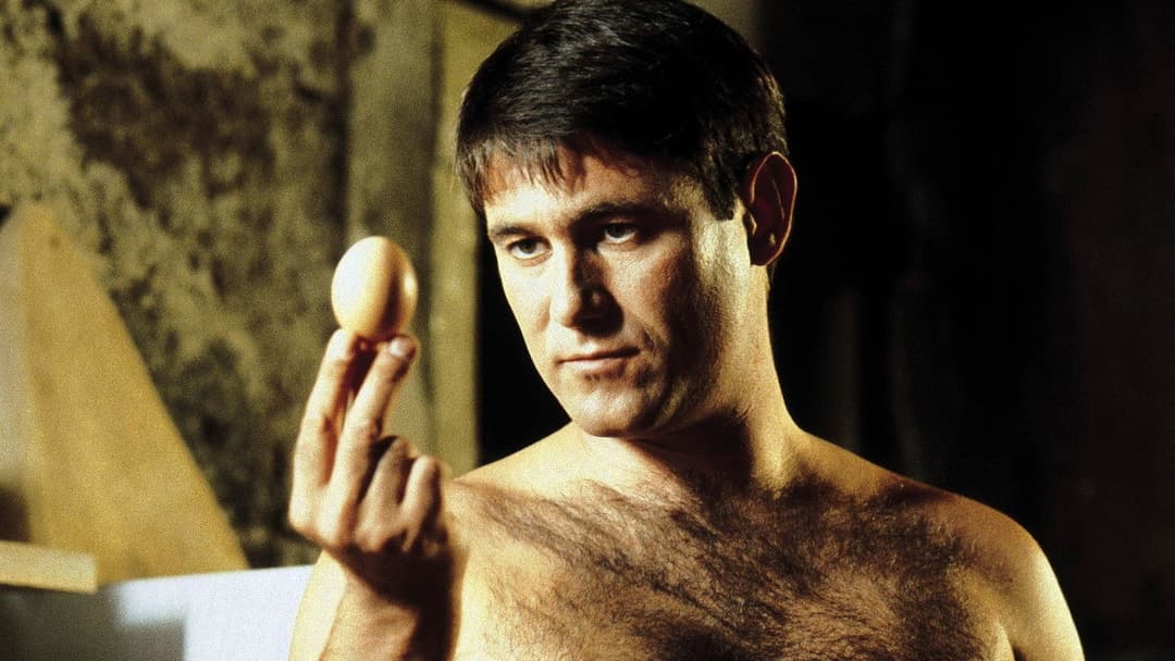 Гаррі — друг, який бажає вам добра backdrop 2