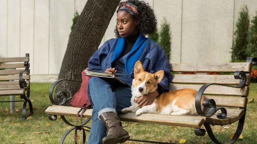 Bailey - Ein Freund fürs Leben backdrop 16