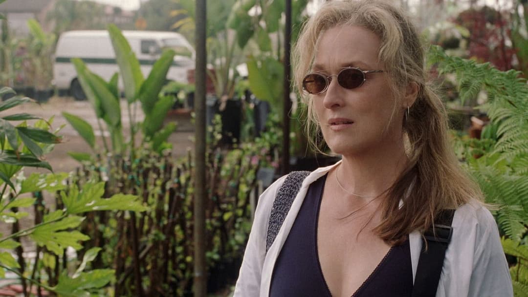 Адаптація. backdrop 15