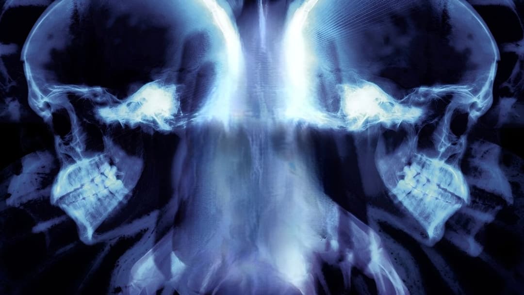 Butterfly Effect backdrop 12