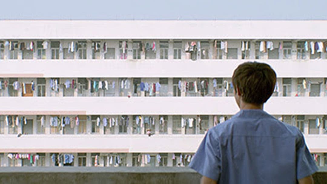 A Touch of Sin backdrop 5