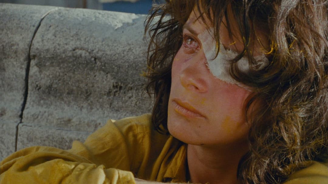 Die Liebenden von Pont-Neuf backdrop 1