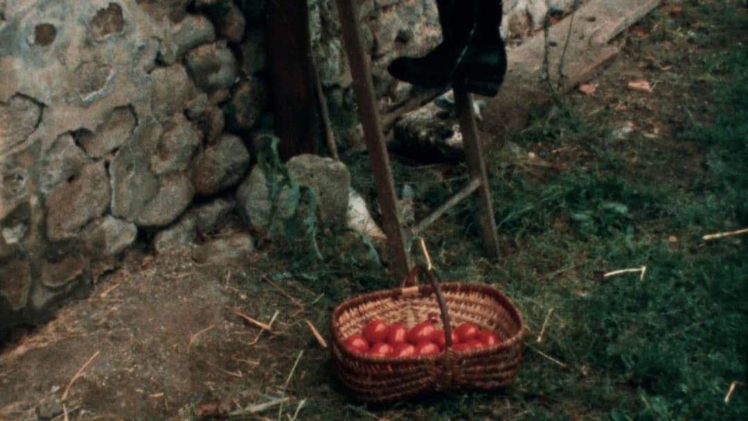 Cantique des Cantiques backdrop 10