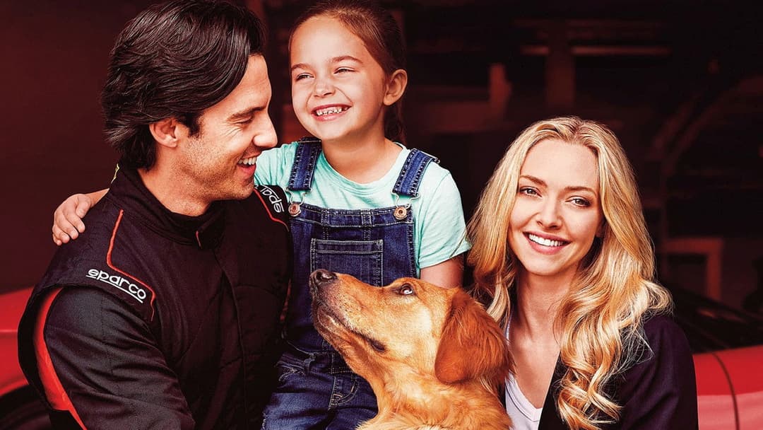 Enzo und die wundersame Welt der Menschen backdrop 15