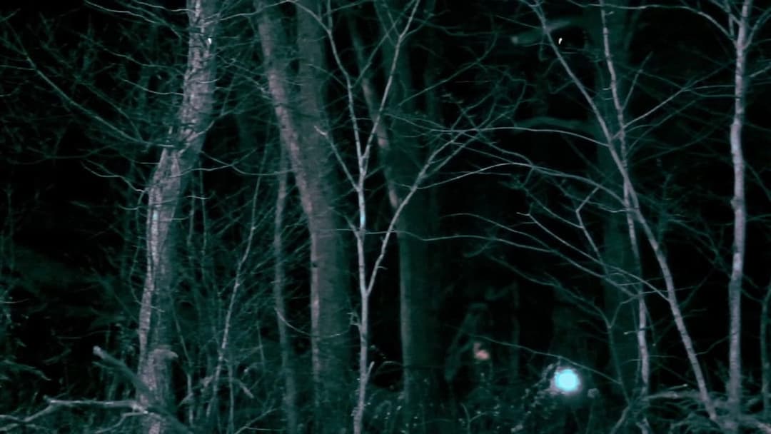 All Hallows' Eve backdrop 10