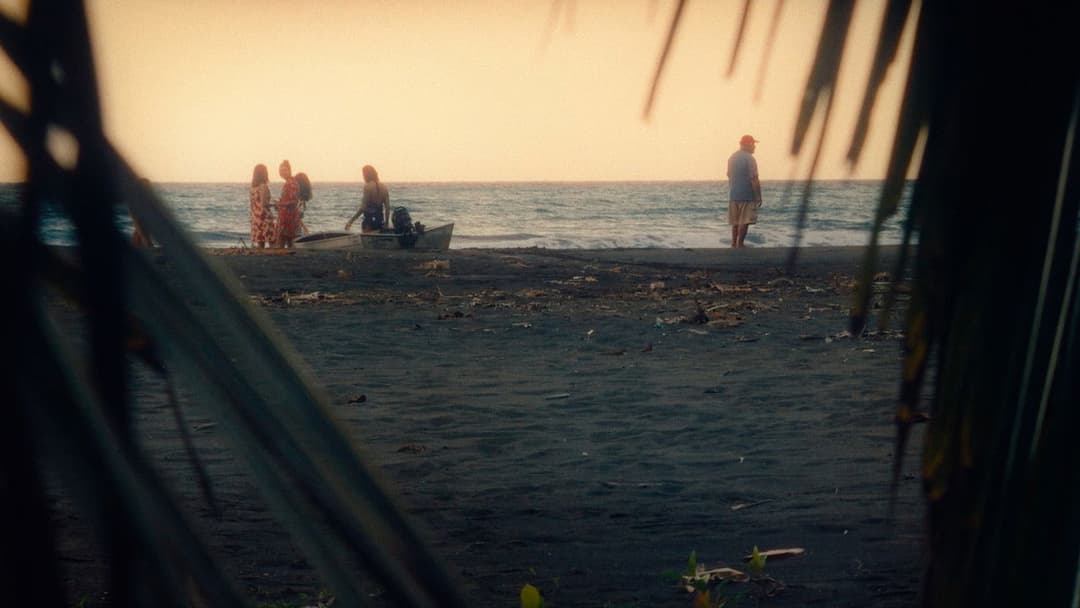 Pacifiction backdrop 2