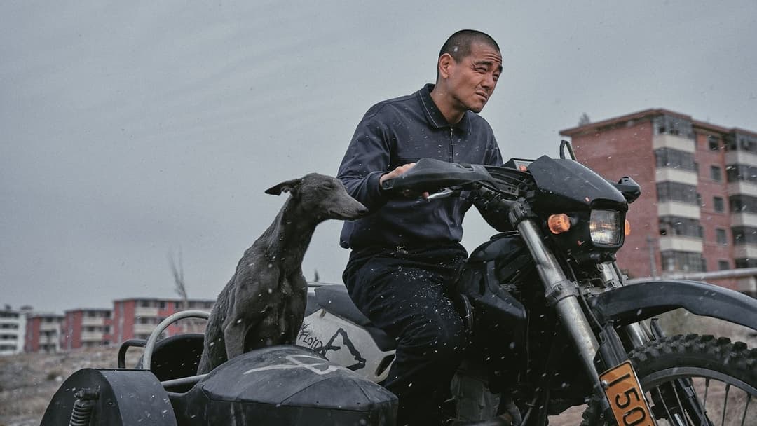 Black Dog - Weggefährten backdrop 2