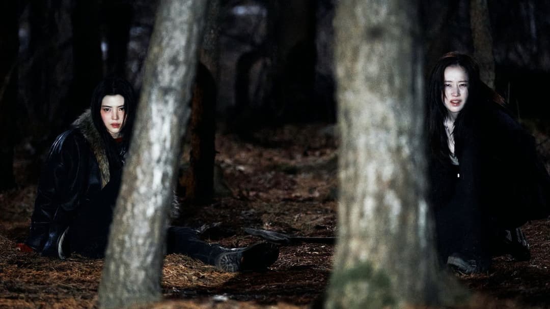 프로젝트 Y backdrop 13