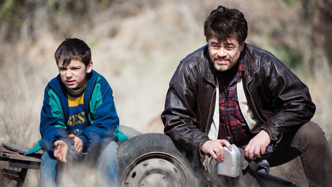 Ідеальний день backdrop 7