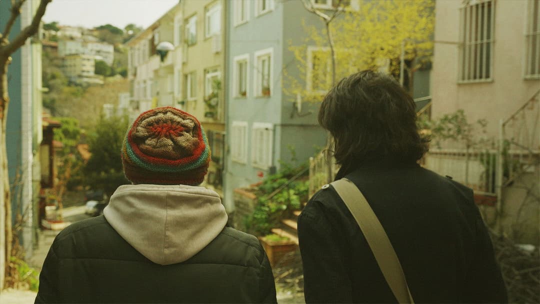 The Leaf Covered in Hoarfrost backdrop 5