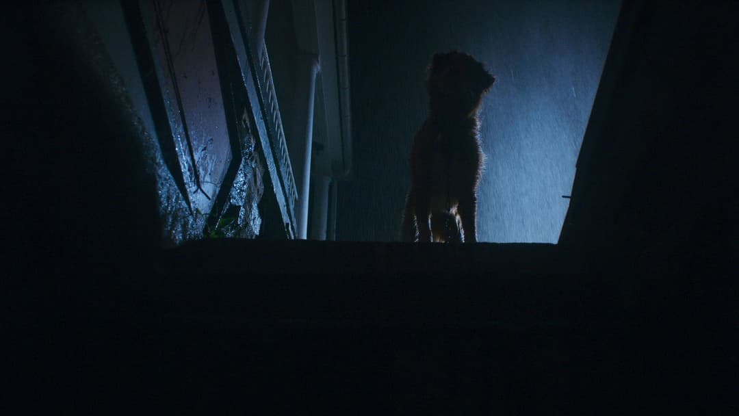 Good Boy - Trust His Instincts backdrop 8