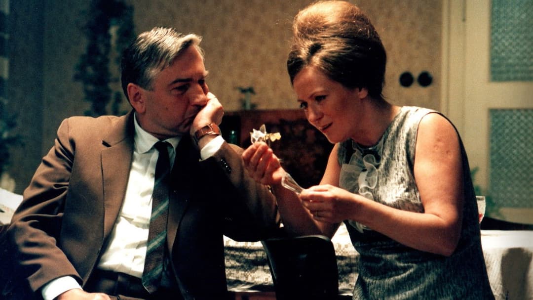 Cosy Dens backdrop 3