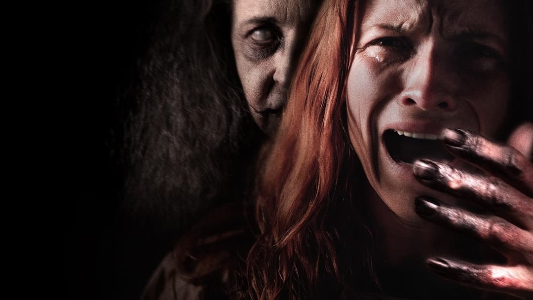 No Voltees backdrop 2