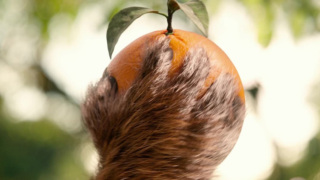 Paddington backdrop 6