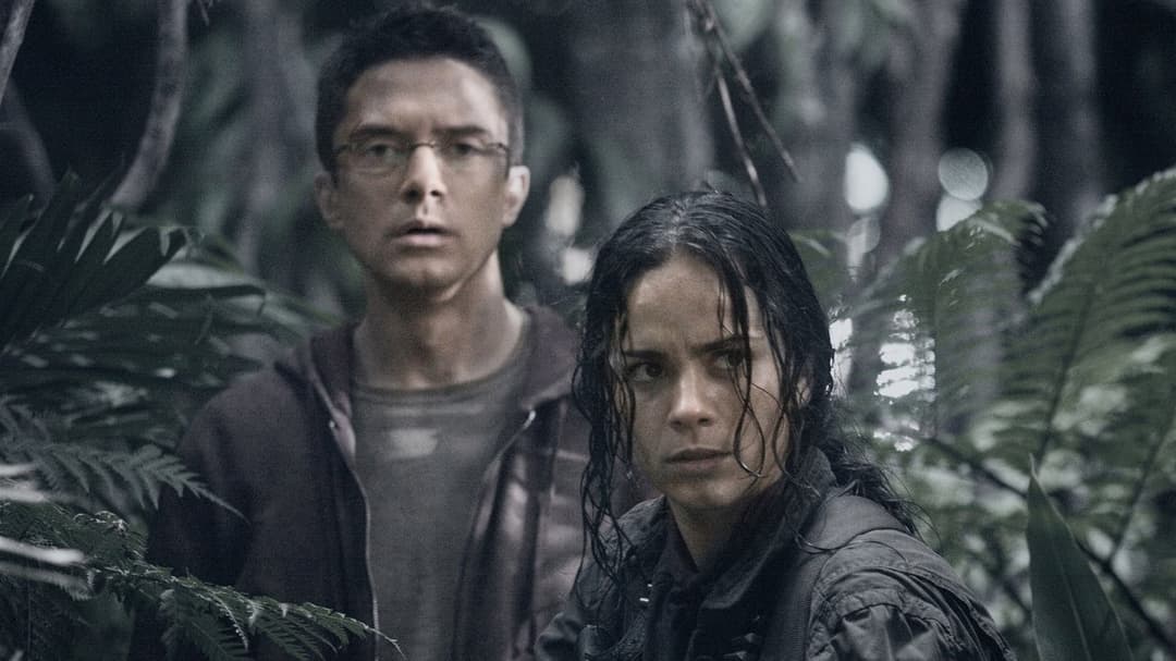 Хижаки backdrop 13