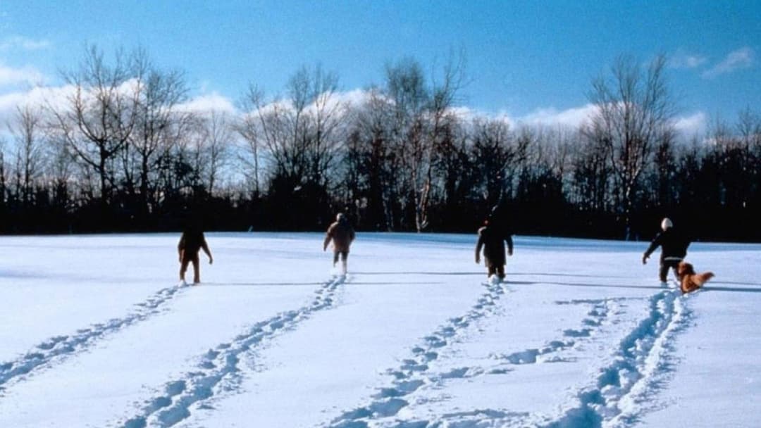 Простий план backdrop 19