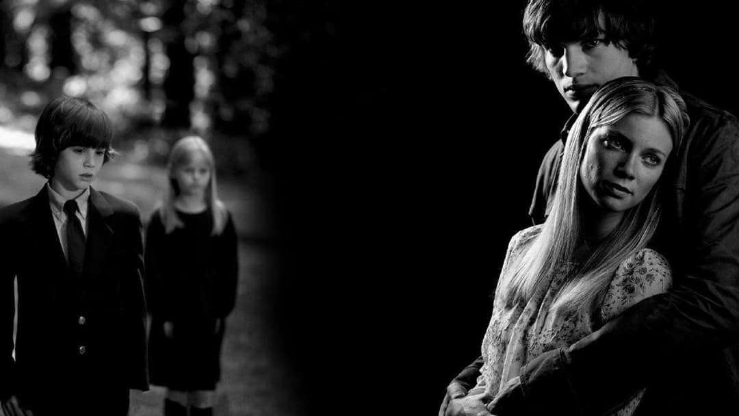 Butterfly Effect backdrop 3