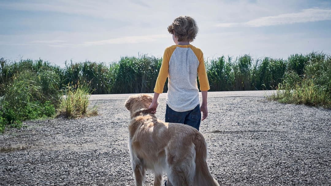 У високій траві backdrop 7