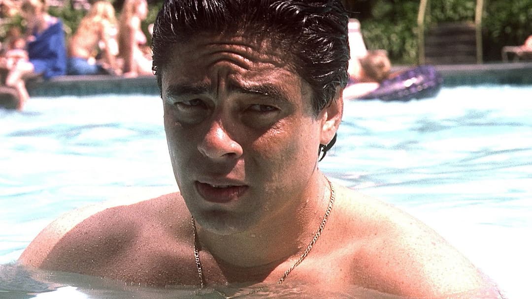 Трафік backdrop 6