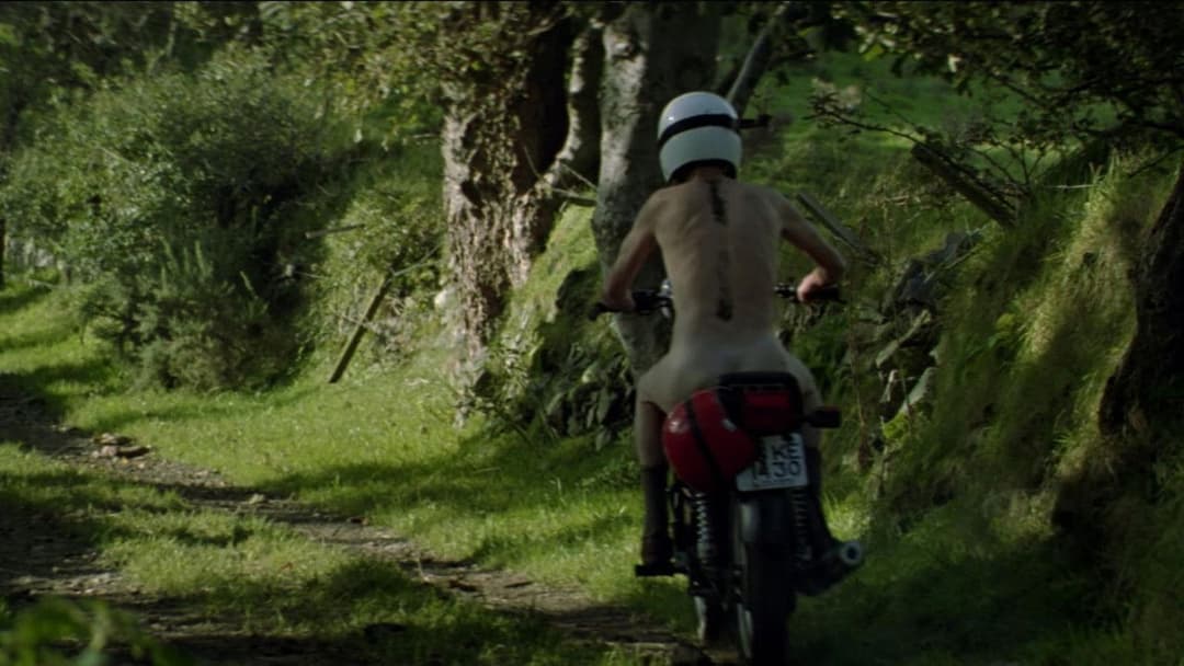 Waking Ned backdrop 4