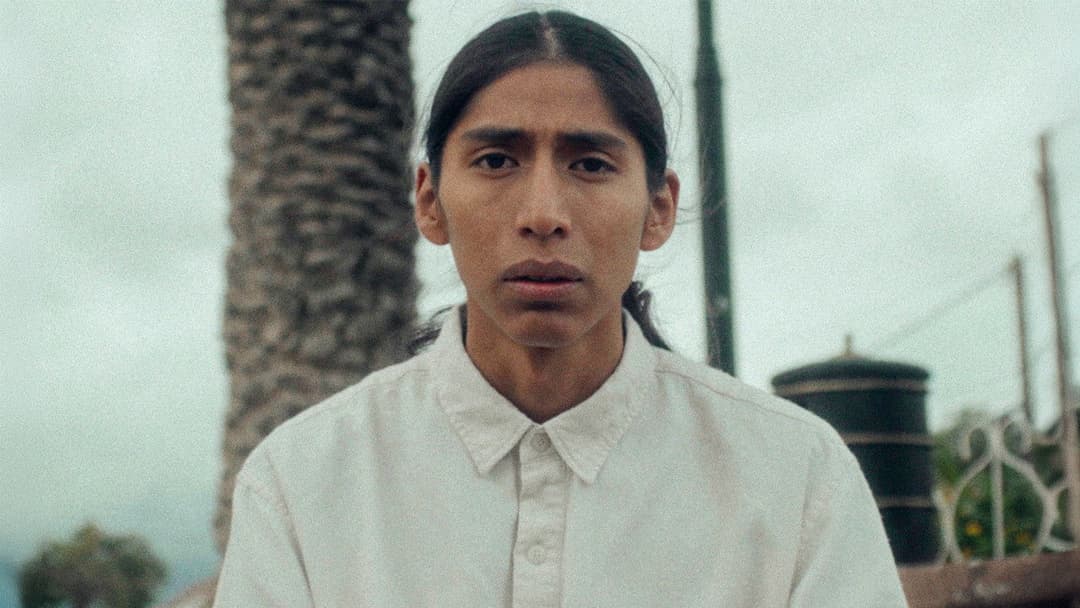 Chronicle of an Inherited Sorrow