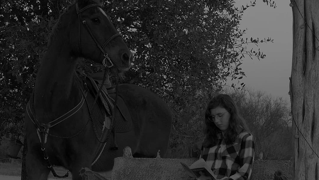 Wanted Guest backdrop 14