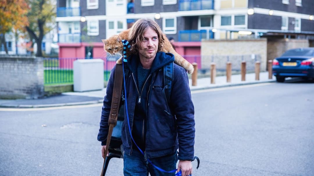 Вуличний кіт на ім’я Боб backdrop 2